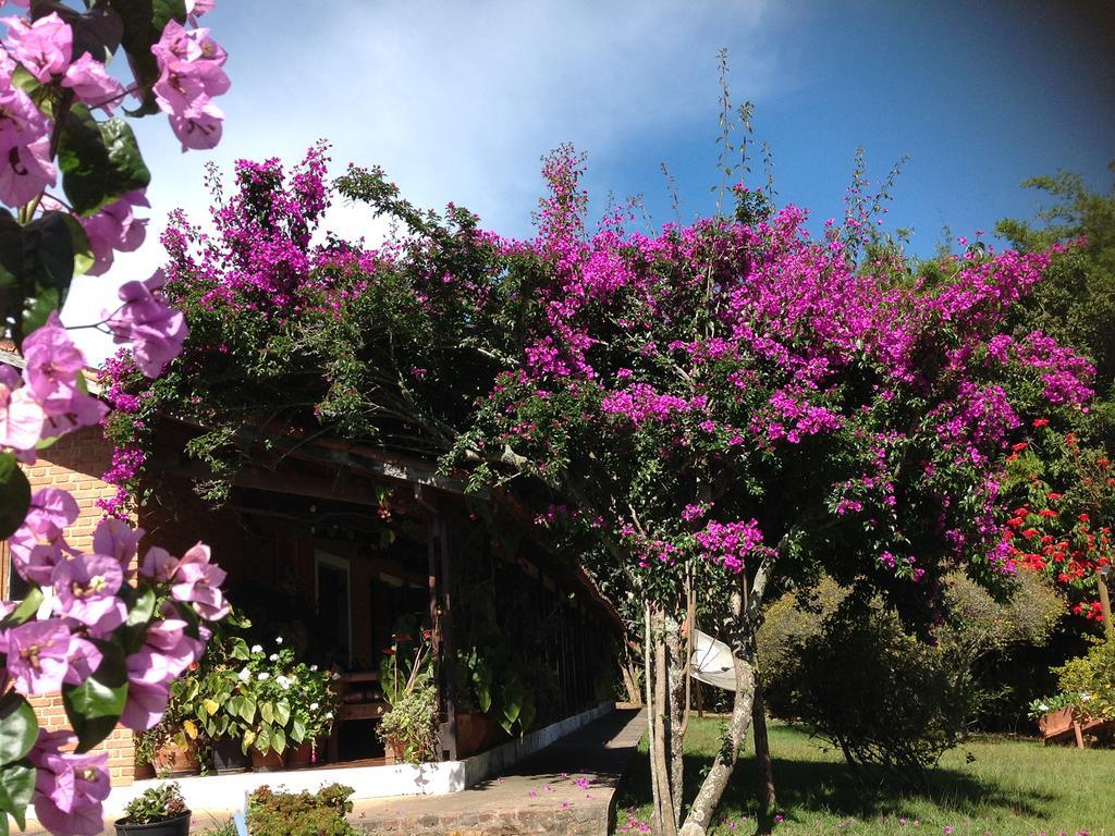 Pousada Terra Viva Cunha Exterior foto