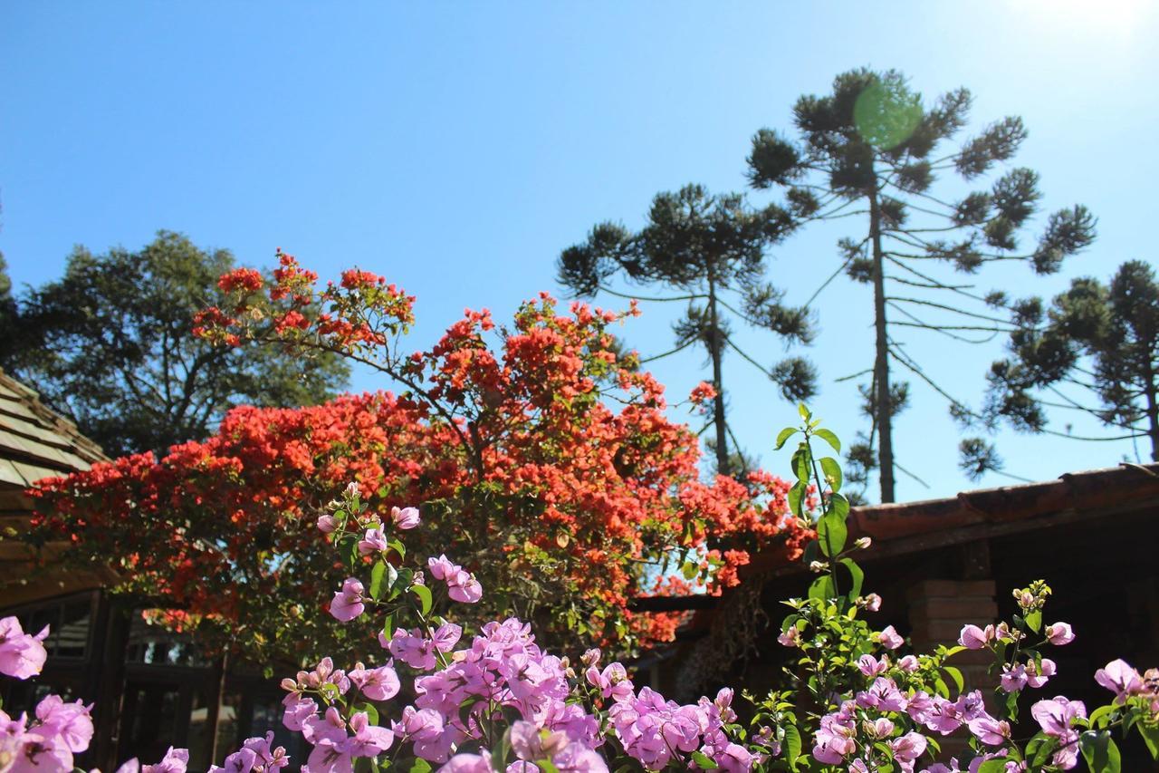 Pousada Terra Viva Cunha Exterior foto